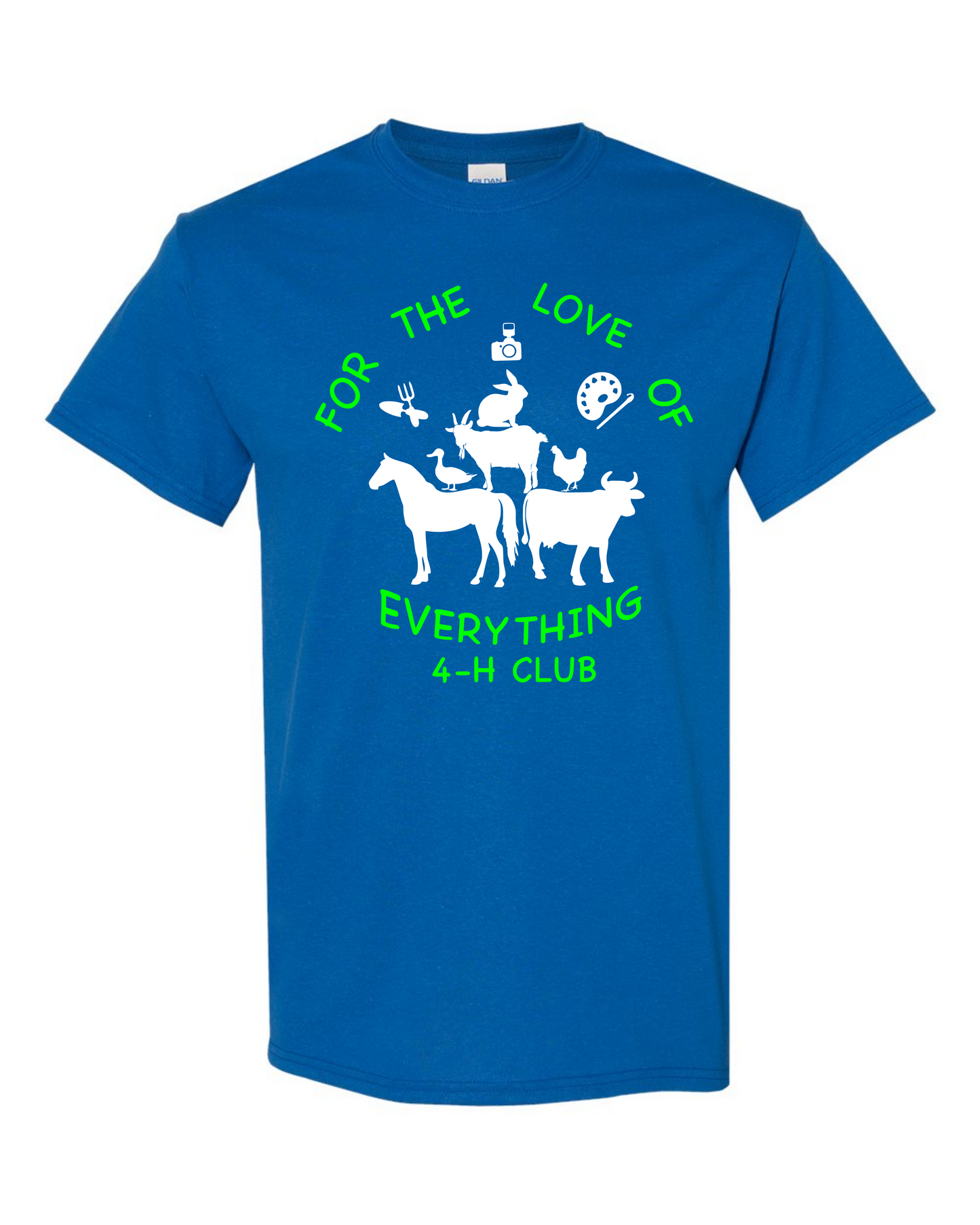 4-h THSIRT