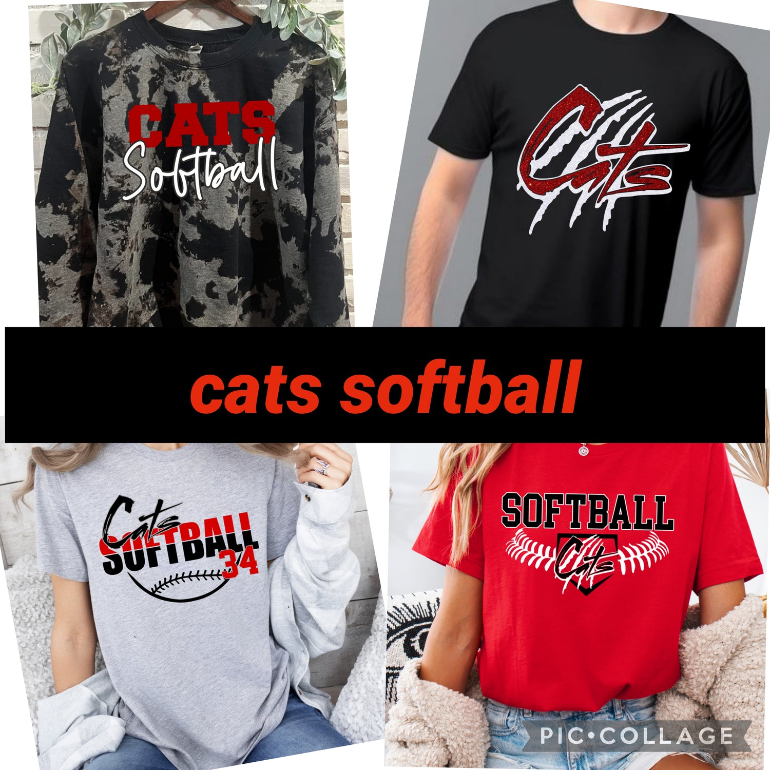 Cats softball