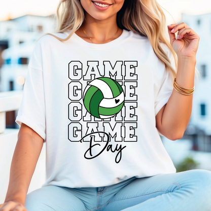 St. paul Volleyball 1 - Youth