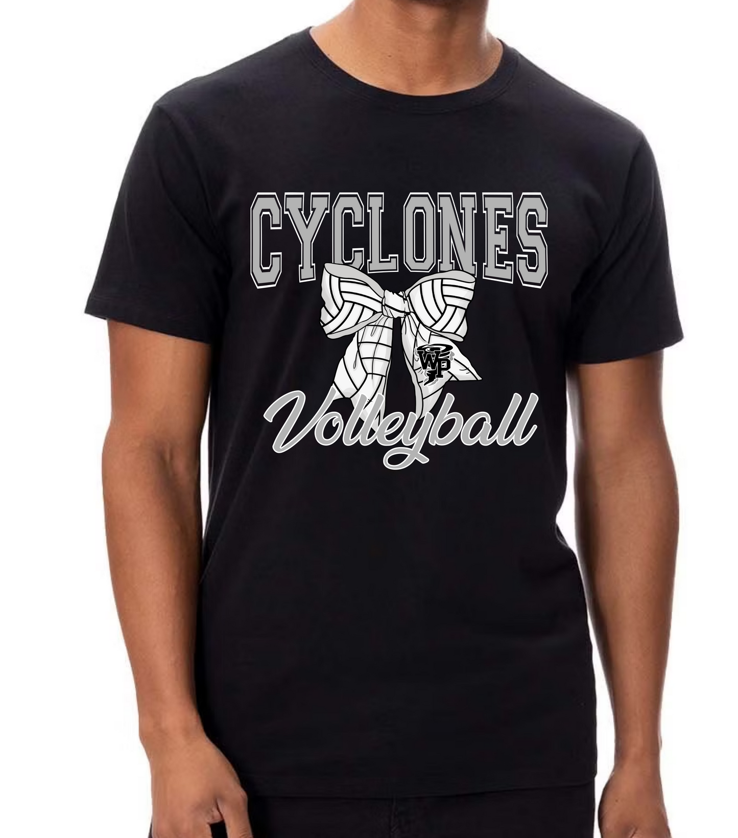 Wp Volleyball 3
