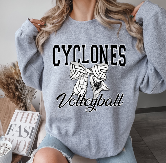 Wp Volleyball 3