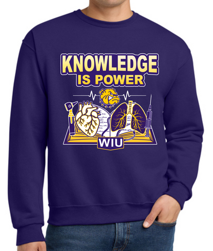 WIU Nursing Knowledge