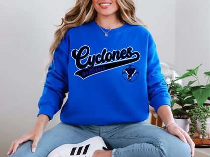 WPSE Cyclones Baseball 2